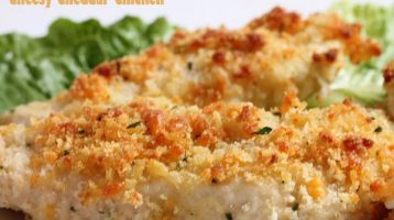 Chicken & Cheddar Cheese