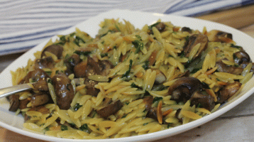 Creamy Mushroom Orzo Pasta