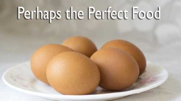 eggs are the perfect food