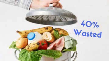 how to waste less food
